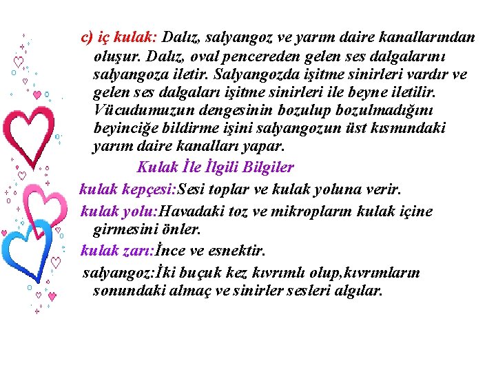 c) iç kulak: Dalız, salyangoz ve yarım daire kanallarından oluşur. Dalız, oval pencereden gelen