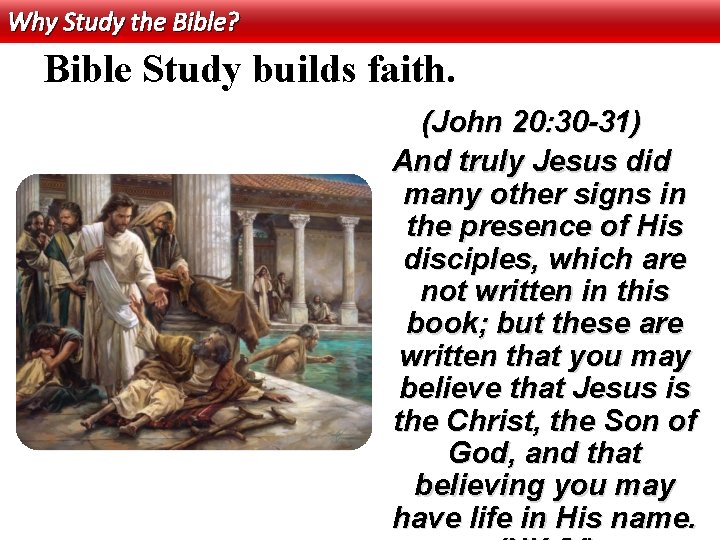 Why Study the Bible? Bible Study builds faith. (John 20: 30 -31) And truly