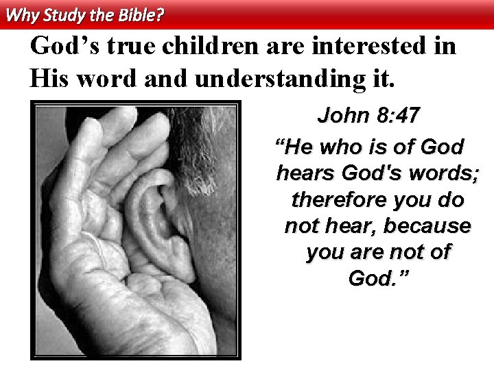 Why Study the Bible? God’s true children are interested in His word and understanding