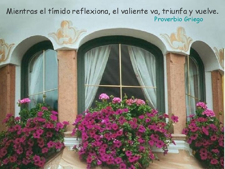 Mientras el tímido reflexiona, el valiente va, triunfa y vuelve. Proverbio Griego 