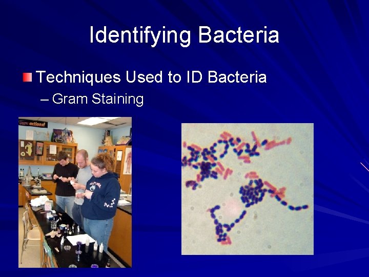 Identifying Bacteria Techniques Used to ID Bacteria – Gram Staining 