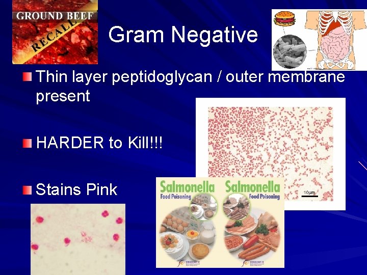 Gram Negative Thin layer peptidoglycan / outer membrane present HARDER to Kill!!! Stains Pink