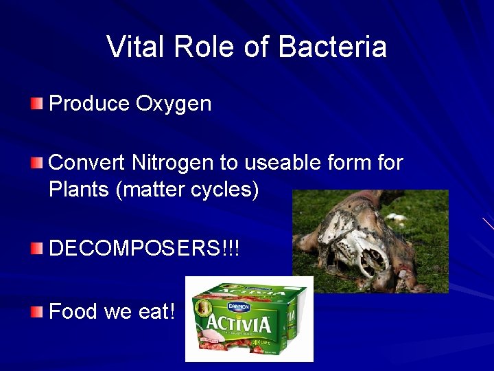 Vital Role of Bacteria Produce Oxygen Convert Nitrogen to useable form for Plants (matter