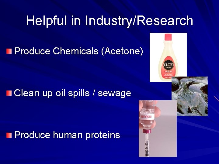 Helpful in Industry/Research Produce Chemicals (Acetone) Clean up oil spills / sewage Produce human