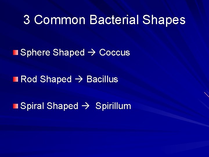 3 Common Bacterial Shapes Sphere Shaped Coccus Rod Shaped Bacillus Spiral Shaped Spirillum 
