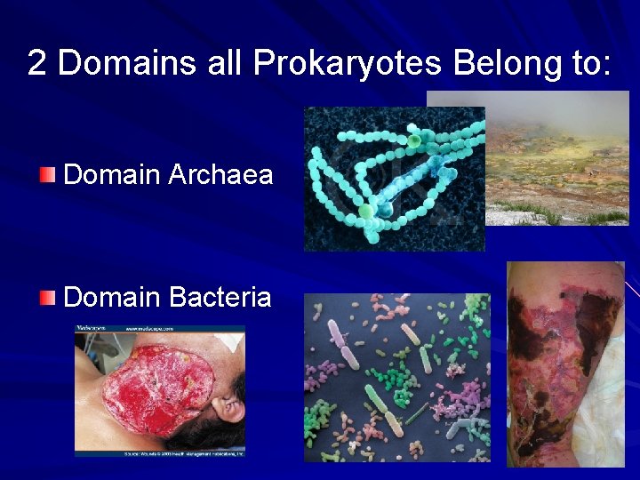 2 Domains all Prokaryotes Belong to: Domain Archaea Domain Bacteria 