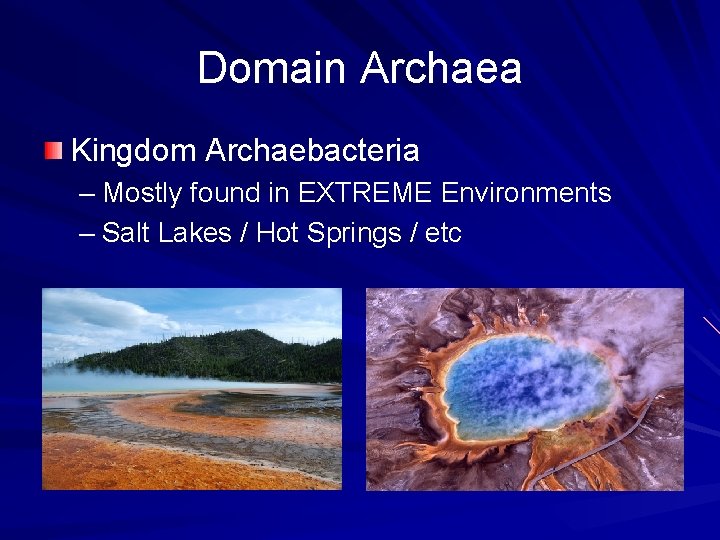 Domain Archaea Kingdom Archaebacteria – Mostly found in EXTREME Environments – Salt Lakes /