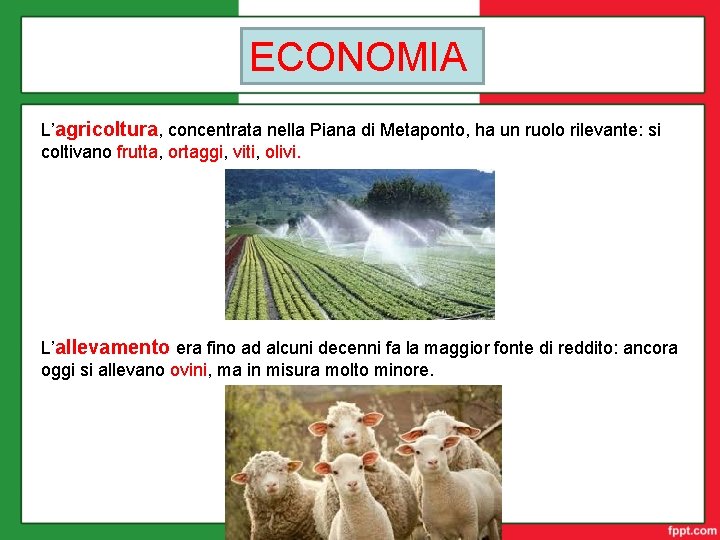 ECONOMIA L’agricoltura, concentrata nella Piana di Metaponto, ha un ruolo rilevante: si coltivano frutta,