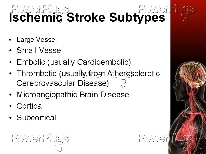 Ischemic Stroke Subtypes • Large Vessel • Small Vessel • Embolic (usually Cardioembolic) •
