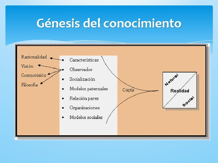 Génesis del conocimiento 