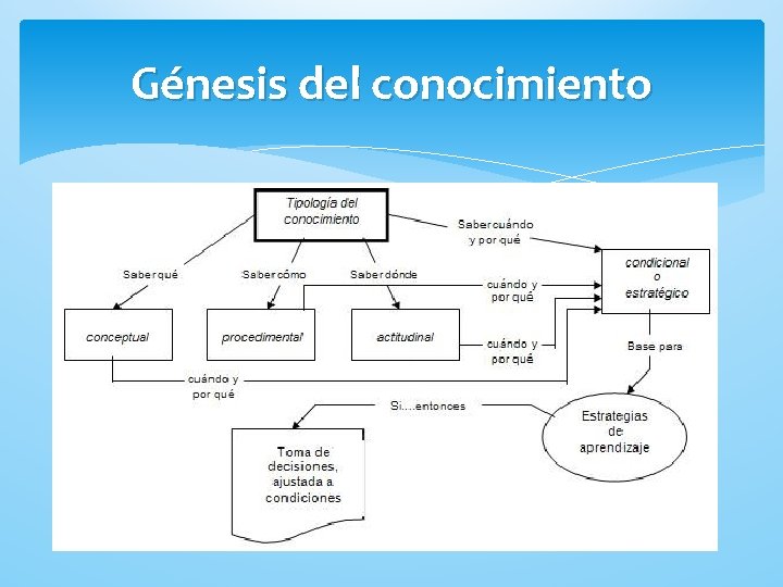 Génesis del conocimiento 