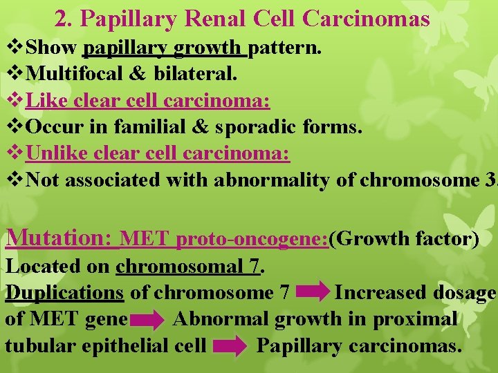 2. Papillary Renal Cell Carcinomas v. Show papillary growth pattern. v. Multifocal & bilateral.