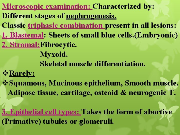 Microscopic examination: Characterized by: Different stages of nephrogenesis. Classic triphasic combination present in all