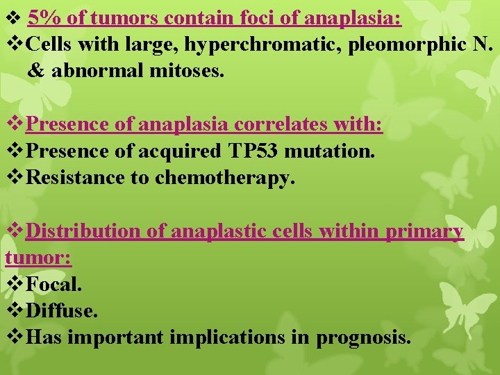 v 5% of tumors contain foci of anaplasia: v. Cells with large, hyperchromatic, pleomorphic