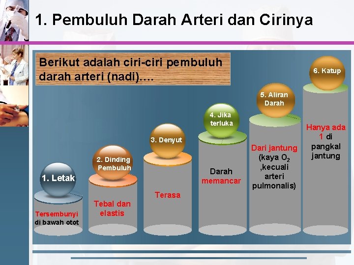 1. Pembuluh Darah Arteri dan Cirinya Berikut adalah ciri-ciri pembuluh darah arteri (nadi)…. 6.