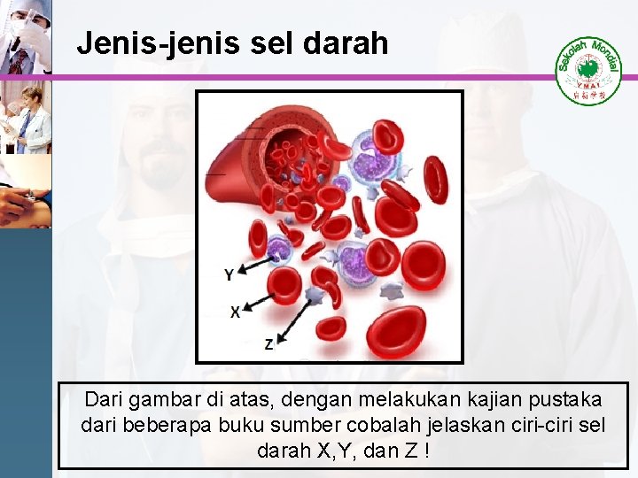 Jenis-jenis sel darah Dari gambar di atas, dengan melakukan kajian pustaka dari beberapa buku