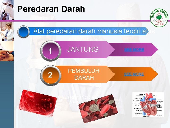 Peredaran Darah Alat peredaran darah manusia terdiri atas: 1 JANTUNG SEE MORE 2 PEMBULUH