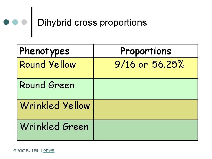 Dihybrid cross proportions Phenotypes Round Yellow Round Green Wrinkled Yellow Wrinkled Green © 2007