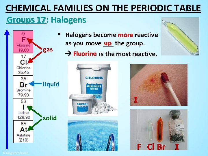 CHEMICAL FAMILIES ON THE PERIODIC TABLE Groups 17: Halogens • gas Halogens become more