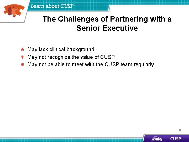 The Challenges of Partnering with a Senior Executive May lack clinical background May not