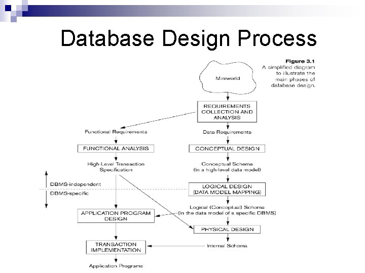 Database Design Process 