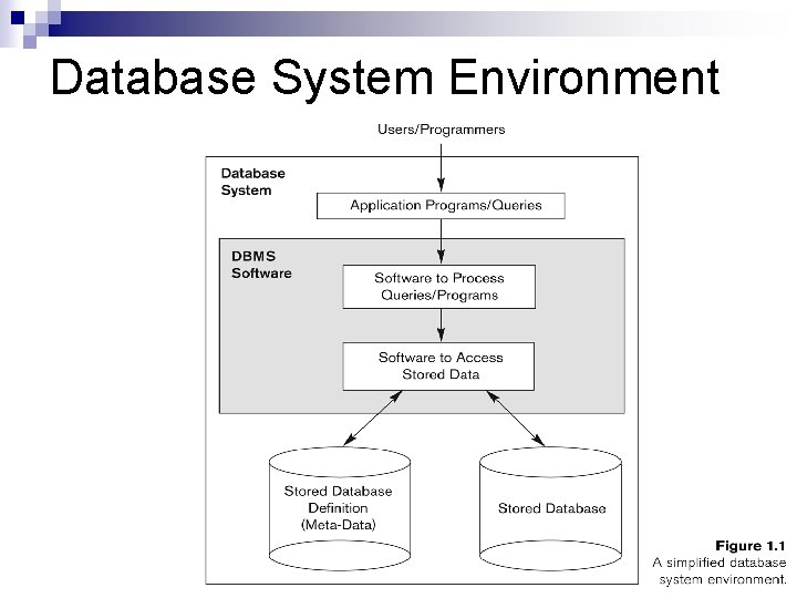 Database System Environment 