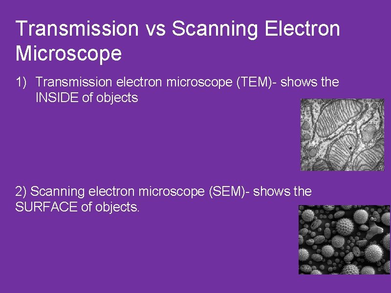 Transmission vs Scanning Electron Microscope 1) Transmission electron microscope (TEM)- shows the INSIDE of