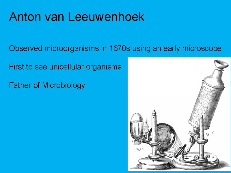Anton van Leeuwenhoek Observed microorganisms in 1670 s using an early microscope First to