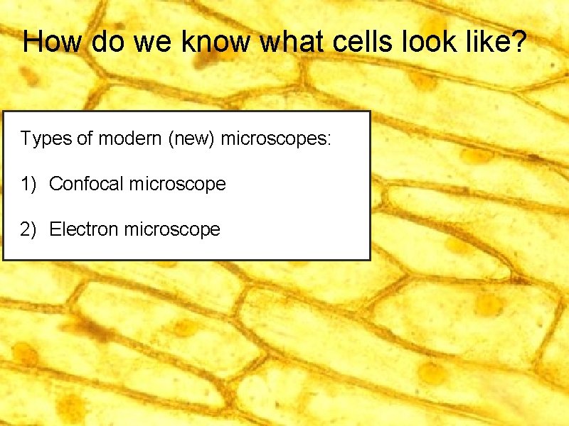 How do we know what cells look like? Types of modern (new) microscopes: 1)