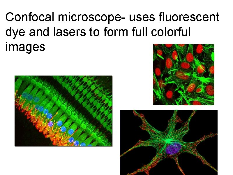 Confocal microscope- uses fluorescent dye and lasers to form full colorful images 