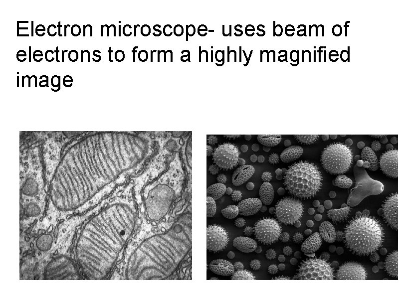 Electron microscope- uses beam of electrons to form a highly magnified image 