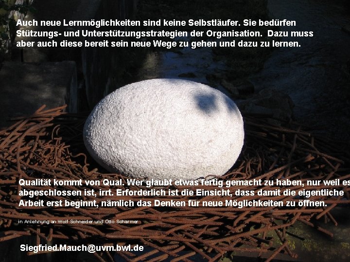 Auch neue Lernmöglichkeiten sind keine Selbstläufer. Sie bedürfen Stützungs- und Unterstützungsstrategien der Organisation. Dazu