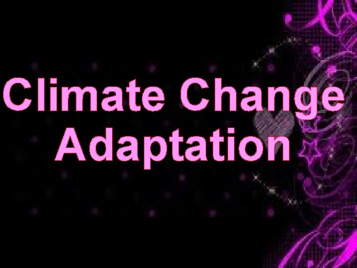 Climate Change Adaptation 
