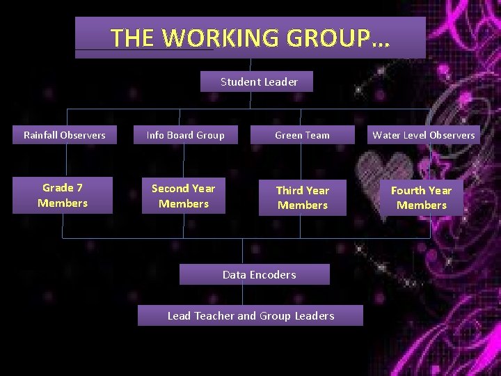 THE WORKING GROUP… Student Leader Rainfall Observers Info Board Group Green Team Water Level