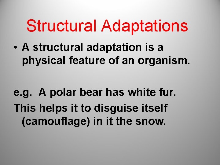 Structural Adaptations • A structural adaptation is a physical feature of an organism. e.