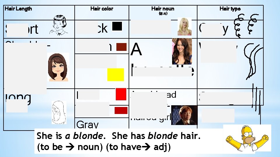 Hair Length Hair color Hair noun Hair type {명사} Short Shoulderlength, medium length long