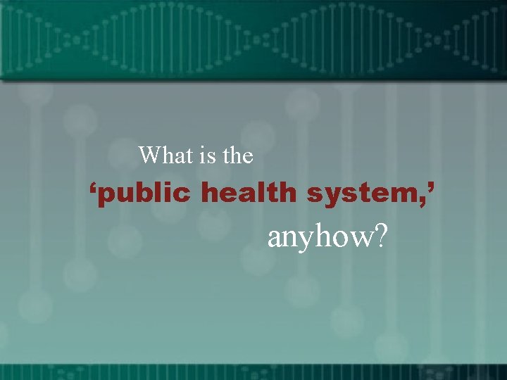 What is the ‘public health system, ’ anyhow? 