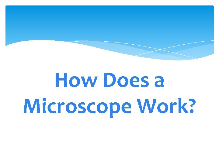 How Does a Microscope Work? 