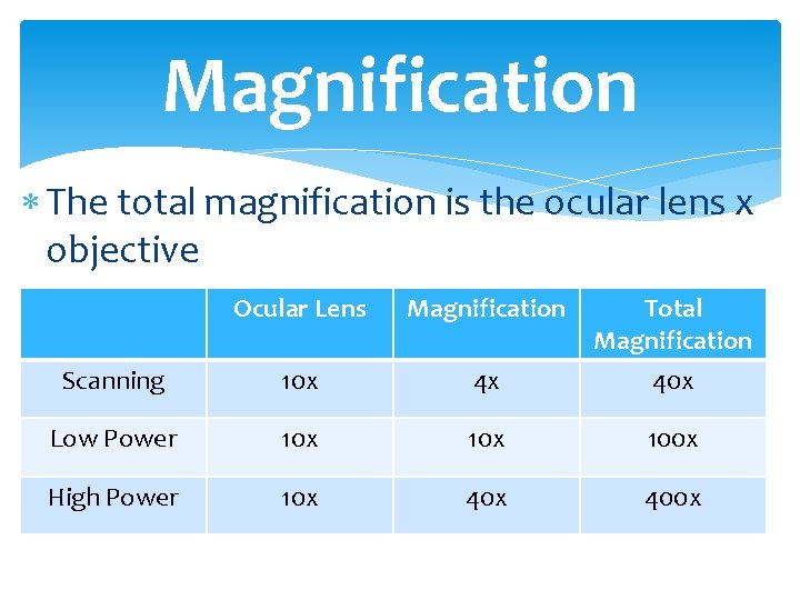 Magnification The total magnification is the ocular lens x objective Ocular Lens Magnification Total