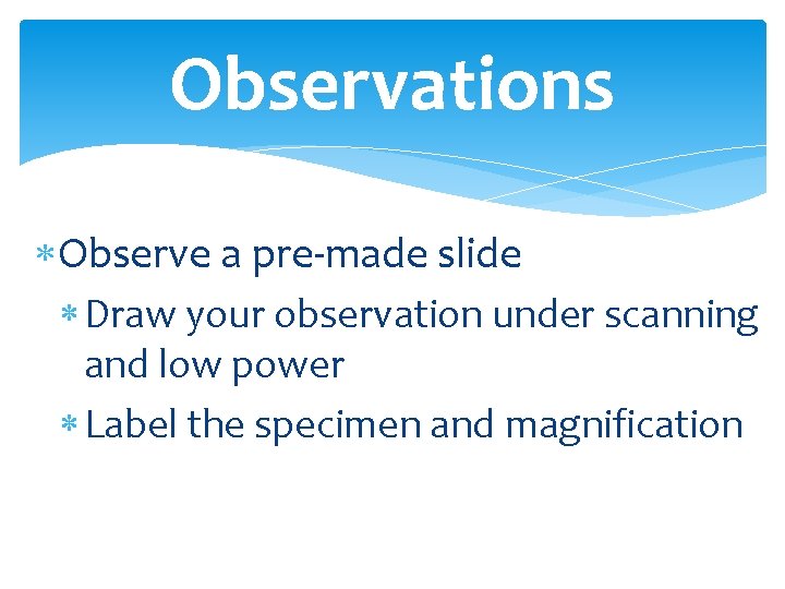 Observations Observe a pre-made slide Draw your observation under scanning and low power Label