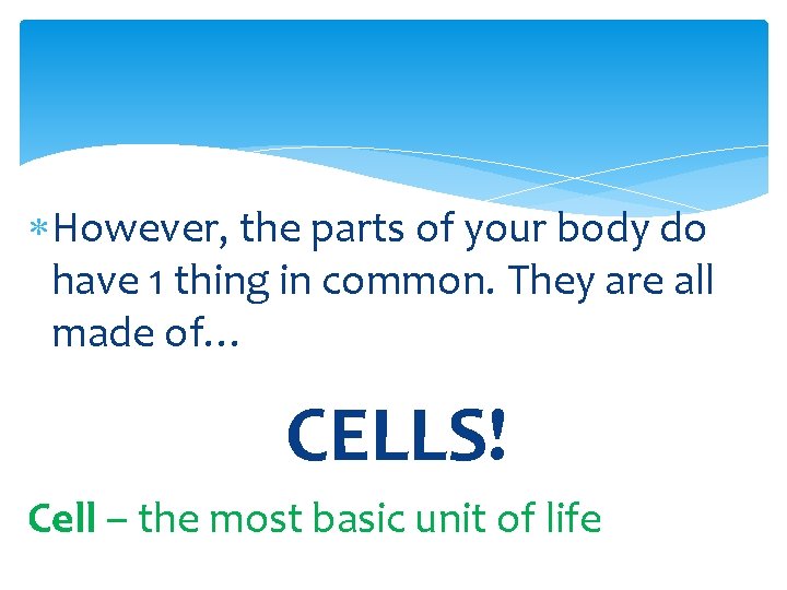 However, the parts of your body do have 1 thing in common. They
