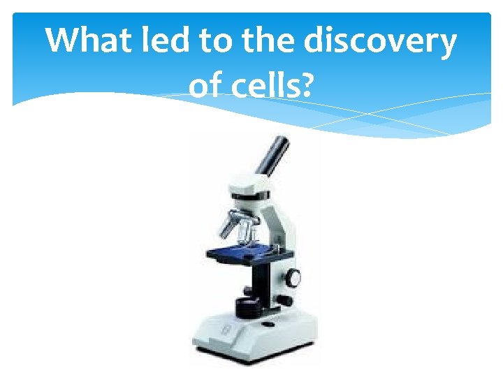 What led to the discovery of cells? 