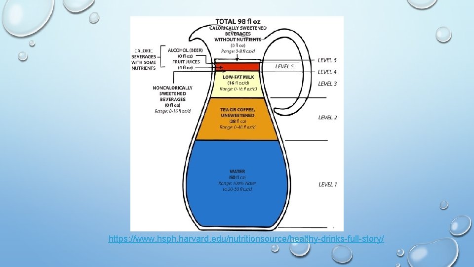 https: //www. hsph. harvard. edu/nutritionsource/healthy-drinks-full-story/ 