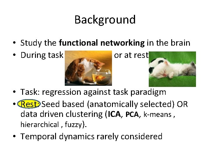 Background • Study the functional networking in the brain • During task or at