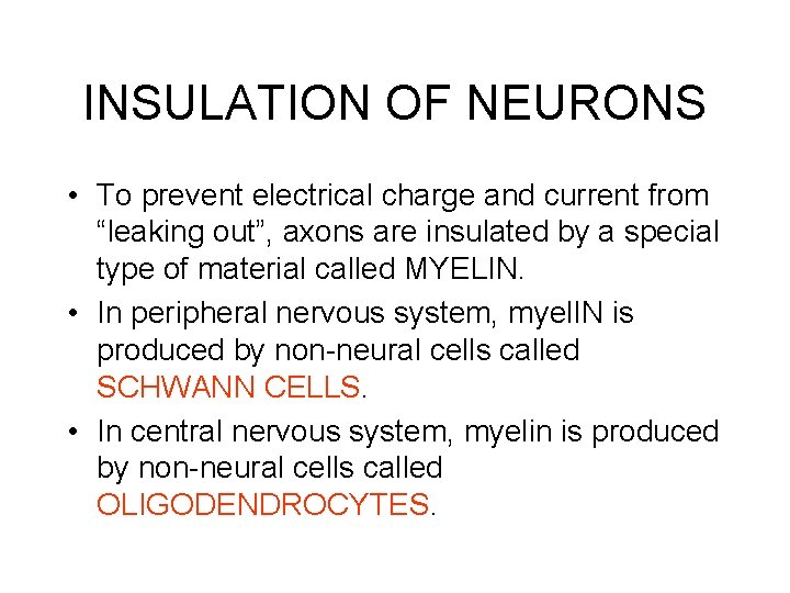 INSULATION OF NEURONS • To prevent electrical charge and current from “leaking out”, axons