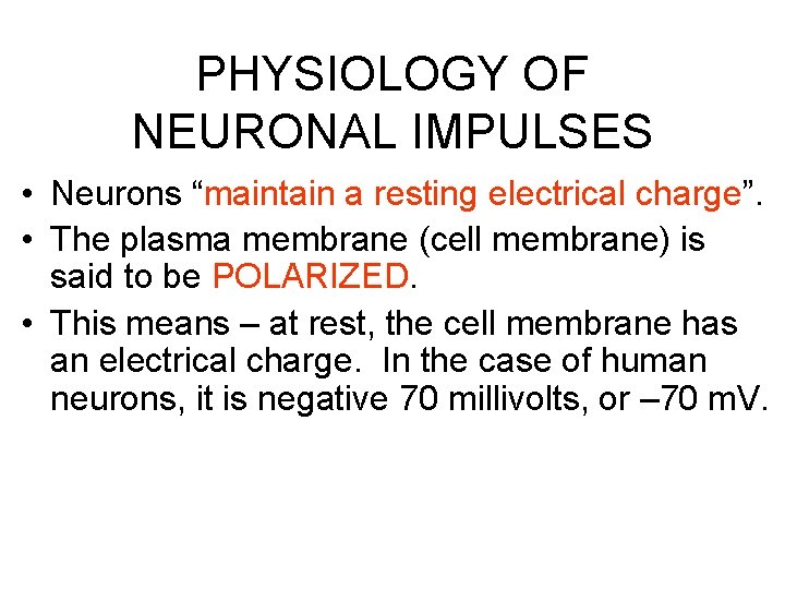 PHYSIOLOGY OF NEURONAL IMPULSES • Neurons “maintain a resting electrical charge”. • The plasma