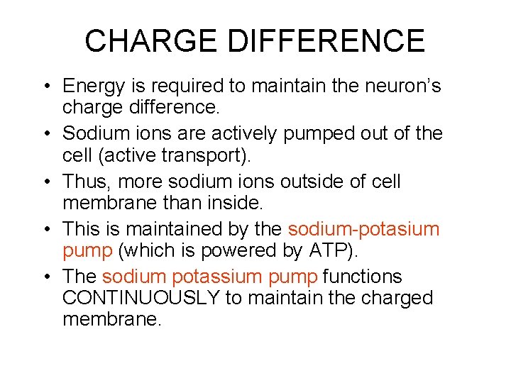 CHARGE DIFFERENCE • Energy is required to maintain the neuron’s charge difference. • Sodium
