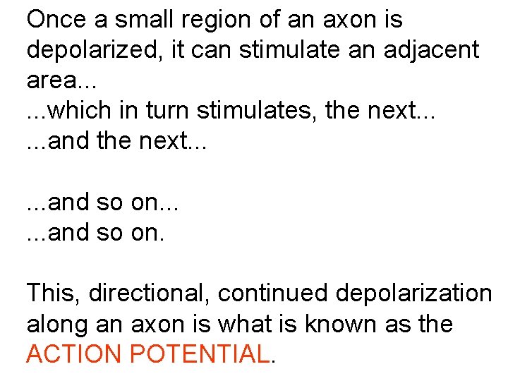 Once a small region of an axon is depolarized, it can stimulate an adjacent