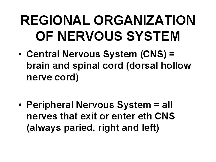 REGIONAL ORGANIZATION OF NERVOUS SYSTEM • Central Nervous System (CNS) = brain and spinal