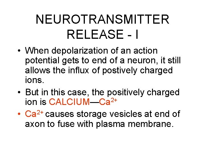NEUROTRANSMITTER RELEASE - I • When depolarization of an action potential gets to end